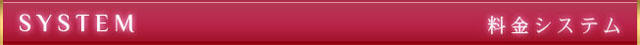 「System Title」